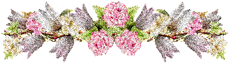 des roses brillante